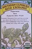 Peppermint Certified Organic Seeds 600 Seeds