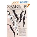 Seabirds: An Identification Guide