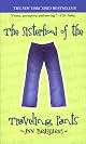 The Sisterhood Of The Traveling Pants