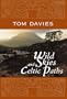 Wild Skies and Celtic Paths
