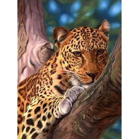 Leopard in a Tree