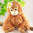 Baby Cocoぬいぐるみ ナツ Sサイズ