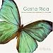 Costa Rica: an eco journey from rainforest to coral reef