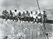 New York City (Men On Girder, Rockefeller Center, 1932) Art Poster Print - 24
