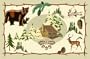 Dolce Mia Cabin Placemat