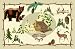 Dolce Mia Cabin Placemat