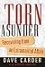 Torn Asunder: Recovering From an Extramarital Affair