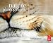 Nature Photography: Insider Secrets from the World's Top Digital Photography Professionals