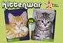 Kittenwar Postcard Box: May the Cutest Kitten Win!