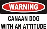 Warning: Canaan Dog with an attitude Plush Teddy Bear with WHITE T-Shirt