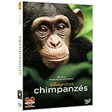 Chimpanz&eacute;s