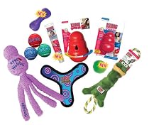 KONG Favorites Medium Dog Toys and Treats Combo, Multicolor