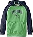 PUMA Big Boys' Raglan Popover