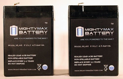 Mighty Max BatteryReplacement for American Hunter DE645DC Game Feeder Battery - 2 Pack