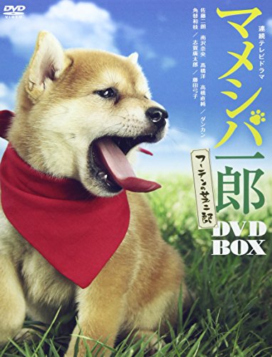 マメシバ一郎 フーテンの芝二郎 DVD-BOX 佐藤二朗 南沢奈央 高橋洋 高橋直純 ダンカン