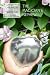 The Magician's Nephew (Book 1) (Narnia)