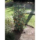 The Ultimate Tomato and Plant Growing Cage