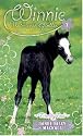 Friendly Foal (Winnie the Horse Gentler #7)