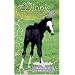 Friendly Foal (Winnie the Horse Gentler #7)