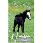 Friendly Foal (Winnie the Horse Gentler #7)