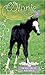 Friendly Foal (Winnie the Horse Gentler #7)