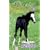 Friendly Foal (Winnie the Horse Gentler #7)