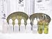 Beachcombers! Salon Professional Henna Tattoo Body Art Kit Start Your Own Henna Business