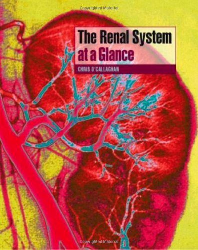 The Renal System at a Glance