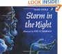Storm in the Night