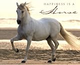 Happiness Is a Horse 2012 Calendar