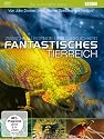 Fantastisches Tierreich - Zwischen Legende und Wirklichkeit