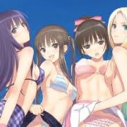 フォルト!!SA グランドスラムBOX V3版