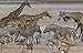 Earth Is My Witness: The Photography of Art Wolfe