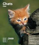 2009 CAL 15X18 CHATS