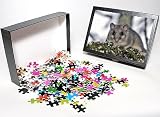 Photo Jigsaw Puzzle of Fat Dormouse - in a apple tree from Ardea Wildlife Pets