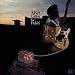 Albert Collins-Ice Pickin