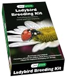 LADYBIRD BREEDING KIT