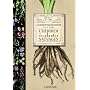 L'herbier des plantes sauvages