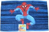 Spiderman Embroidered