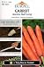 Burpee Nantes Half Long Carrot - 270 Seeds - Seed Tape