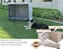 Animated Pet SG-049-19 Crate Cover & Pad Set Fits 36 X 23 X 24 Midwest Better Buy Corner Pin crates- Stone-Grey Color