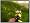 Spore (Mac/PC DVD)