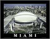 Miami Marlins - Marlins Park - Lg - Wood Mounted Poster Print