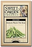 Kentucky Wonder Pole Bean - Heirloom Seeds