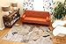 Generations Contemporary Flower Rust Gold Silver White Modern Squares Area Rug Rugs 5'2 x 7'3