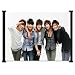 SS501 Kpop Fabric Wall Scroll Poster (24"x16") Inches
