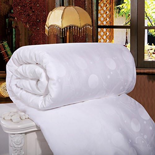 Topsleepy All Size Natural Long Mulberry Silk Comforter 100% Handmade White Softer Quilts (Spring/autumn Single)