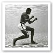 Muhammad Ali by Flip Schulke 15.75"x15.75" Art Print Poster