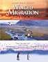 Winged Migration