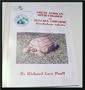 The Great African Spur-Thighed or Sulcata Tortoise